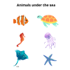 Playful Ocean Crew