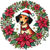 Doxie Christmas