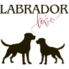 Labrador Love.