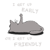Je me lève tôt chat