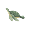 Turtle Sea Turtle Gift