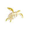 Turtle Sea Turtle Gift