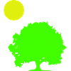 Tree Sun