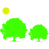 trees sun