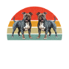 Cadeaux American Bully