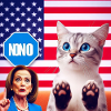 le chat dit NO