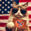 The cat says no