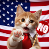 le chat dit no