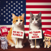 cats say NO