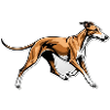 Dynamic Greyhound Running Illustration