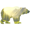 Bear 🐻