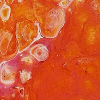 Pink pouring1