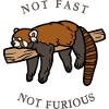 Not Fast Not Furious