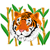 Tiger's Head