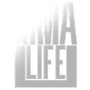 La vie MMA