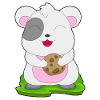 Biscuit hamster