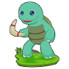 Tortue Boomerang