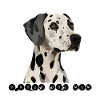 Dalmatians - proud dog mom