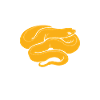 Snake Love Pet