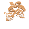 Snakes