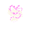 Snake Snakes Mom
