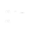 Snake Leisure