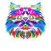 Himalayan Cat Popart