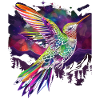 Hummingbird Bird Popart