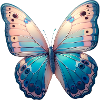 Freedom Butterfly