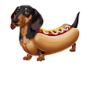 Gravhund i kostumer pølsehund
