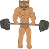 Bodybuilder
