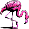 Flamingo