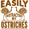 Ostrich - Animals