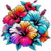 Fleurs d’hibiscus