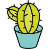 Small green cactus in pot