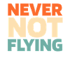 Airplane Pilot