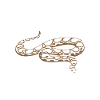 Snake Reptile Pet
