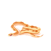 Simply Distracted Snake