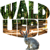 Forest 13 with Rabbit