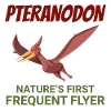 Pteranodon Dinosaur Dino Paleontologist Fossil