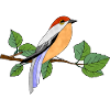 Bunter Vogel