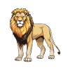Lion Animal