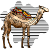 Kamel