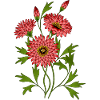Fleur