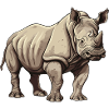 Nashorn Tier