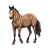 Pferd Tier