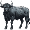 Bulle Tier Taurus