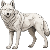 Wolf Animal