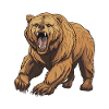 Bear Animal