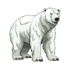 Polar Bear Animal Polar Bear